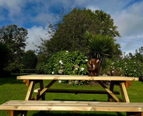 A brown and white cat sits on top of a wooden picnic table in a green garden, surrounded by bushes, trees, and flowers in stunning private gardens under a partly cloudy sky. Sancreed House Retreat